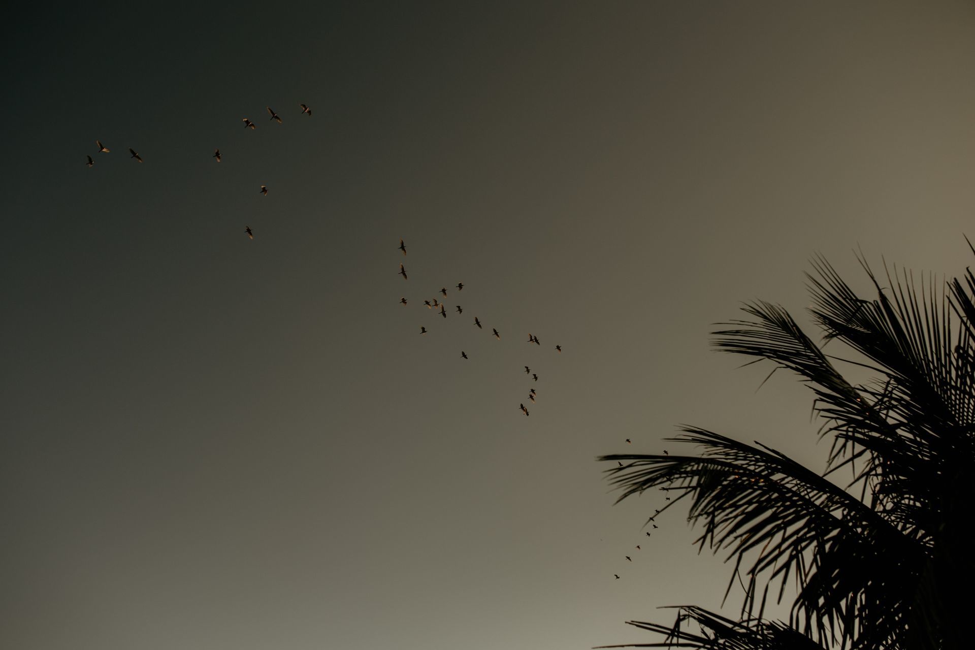 Foto Casamento Chácara Recanto da Lua - Uberlândia MG Foto Casamento Chácara Recanto da Lua - Uberlândia MG - Imagem 70