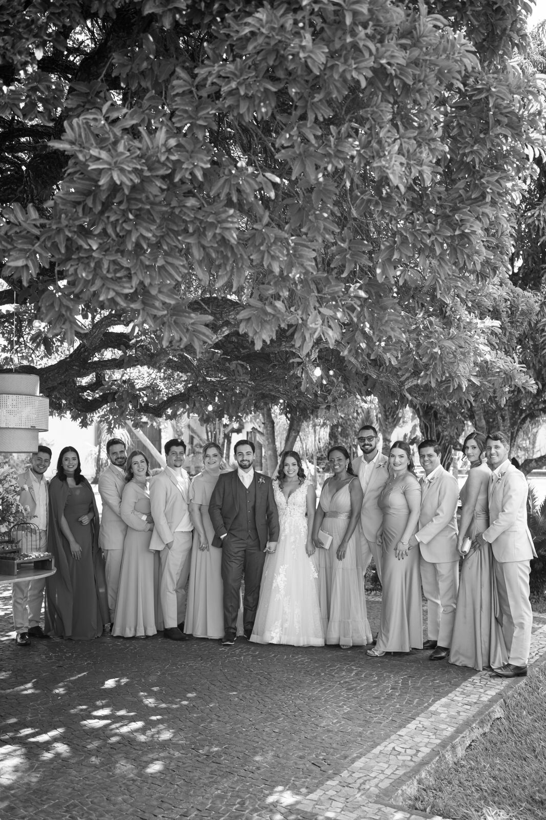 Foto Casamento Chácara Panorama Lounge- Stefany e Jose Pedro- Uberlândia Foto Casamento Chácara Panorama Lounge- Stefany e Jose Pedro- Uberlândia - Imagem 89