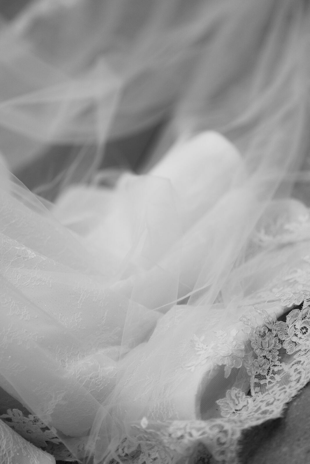 Foto Casamento na Igreja Nossa Senhora da Abadia do Patrimônio, e Festa no Clube Cajubá,em Uberlândia MG  - Imagem 73