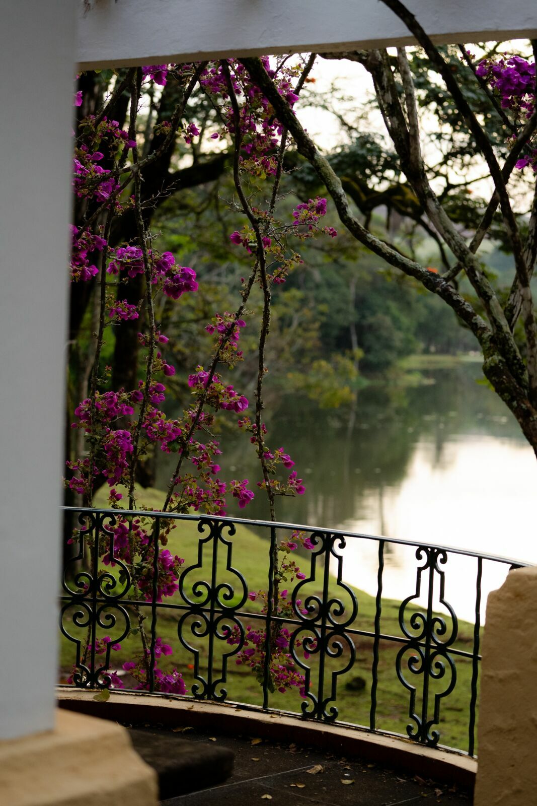 Foto Pré-Casamento no Grande Hotel de Araxá | Fotógrafo em Araxá |  Ana e Keniel - Imagem 55