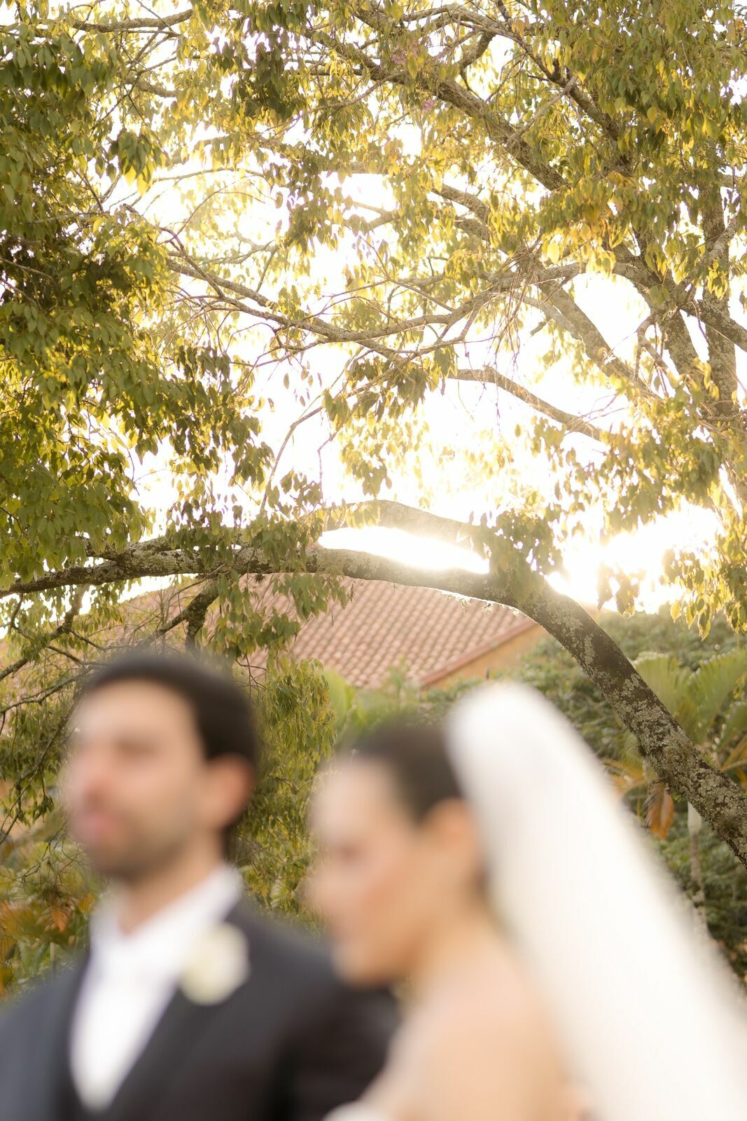 Foto Mari e Vinicius | Casamento no Grande Hotel de Araxá | Fotógrafo de Casamento em Araxá MG Foto Mari e Vinicius | Casamento no Grande Hotel de Araxá | Fotógrafo de Casamento em Araxá MG - Imagem 100